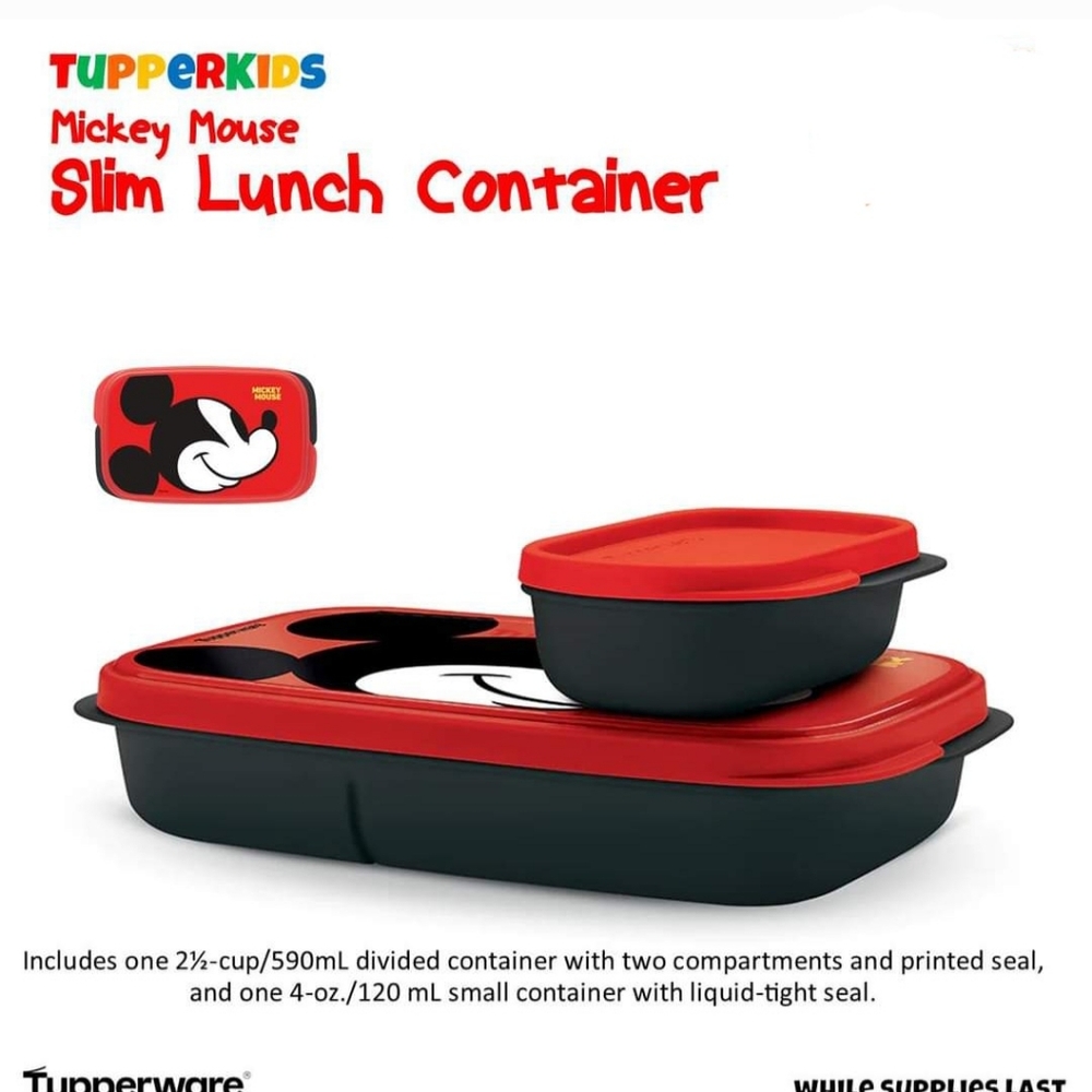 Tupperware slim lunch container
